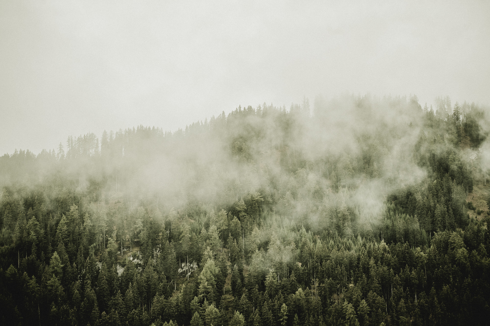 Export x3 1DX23852 Fotoshooting 2018 Annette & Mike Nauders 2